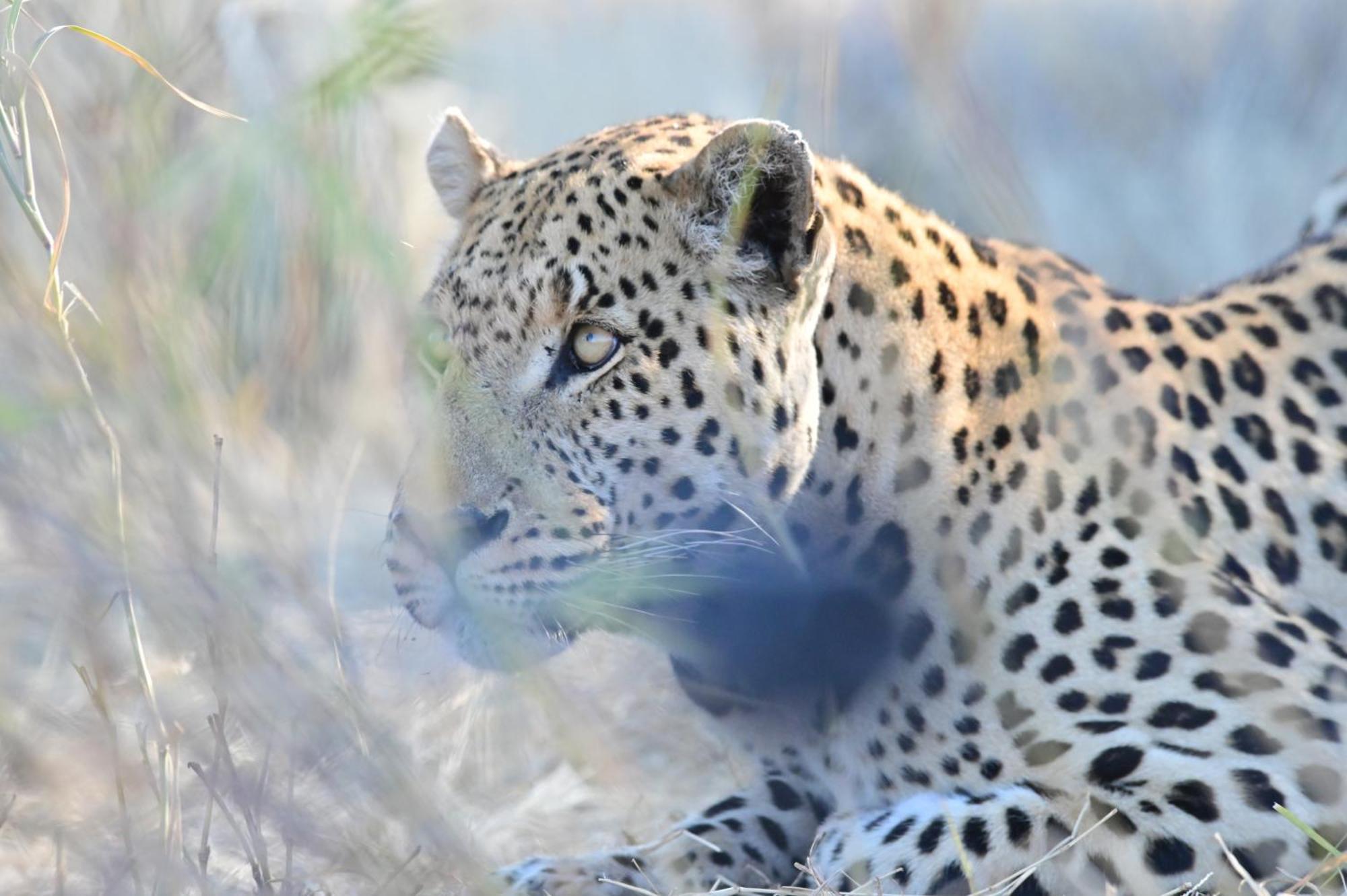 Aloegrove Safari Lodge Otjiwarongo Buitenkant foto